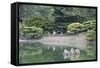 People at Ritsurin-Koen, Takamatsu, Shikoku, Japan-Ian Trower-Framed Stretched Canvas