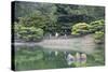 People at Ritsurin-Koen, Takamatsu, Shikoku, Japan-Ian Trower-Stretched Canvas