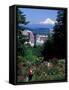 People at the Washington Park Rose Test Gardens with Mt Hood, Portland, Oregon, USA-Janis Miglavs-Framed Stretched Canvas
