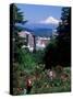 People at the Washington Park Rose Test Gardens with Mt Hood, Portland, Oregon, USA-Janis Miglavs-Stretched Canvas