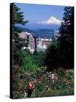 People at the Washington Park Rose Test Gardens with Mt Hood, Portland, Oregon, USA-Janis Miglavs-Stretched Canvas