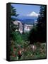 People at the Washington Park Rose Test Gardens with Mt Hood, Portland, Oregon, USA-Janis Miglavs-Framed Stretched Canvas