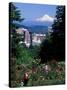 People at the Washington Park Rose Test Gardens with Mt Hood, Portland, Oregon, USA-Janis Miglavs-Stretched Canvas