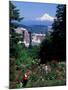 People at the Washington Park Rose Test Gardens with Mt Hood, Portland, Oregon, USA-Janis Miglavs-Mounted Photographic Print