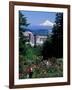 People at the Washington Park Rose Test Gardens with Mt Hood, Portland, Oregon, USA-Janis Miglavs-Framed Photographic Print