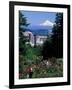 People at the Washington Park Rose Test Gardens with Mt Hood, Portland, Oregon, USA-Janis Miglavs-Framed Photographic Print