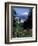 People at the Washington Park Rose Test Gardens with Mt Hood, Portland, Oregon, USA-Janis Miglavs-Framed Photographic Print