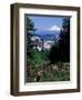 People at the Washington Park Rose Test Gardens with Mt Hood, Portland, Oregon, USA-Janis Miglavs-Framed Photographic Print