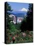 People at the Washington Park Rose Test Gardens with Mt Hood, Portland, Oregon, USA-Janis Miglavs-Stretched Canvas