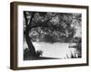 People Boat Riding in Prospect Park-Ed Clark-Framed Photographic Print