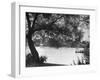 People Boat Riding in Prospect Park-Ed Clark-Framed Photographic Print