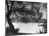 People Boat Riding in Prospect Park-Ed Clark-Mounted Photographic Print