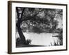 People Boat Riding in Prospect Park-Ed Clark-Framed Photographic Print