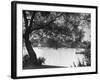 People Boat Riding in Prospect Park-Ed Clark-Framed Photographic Print