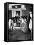 People Bringing in Horse at Dwight D. Eisenhower's Inauguration Party-Cornell Capa-Framed Stretched Canvas