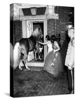 People Bringing in Horse at Dwight D. Eisenhower's Inauguration Party-Cornell Capa-Stretched Canvas