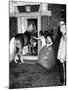 People Bringing in Horse at Dwight D. Eisenhower's Inauguration Party-Cornell Capa-Mounted Photographic Print