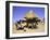 People by Hut, South Africa-Ryan Ross-Framed Photographic Print