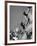 People Climbing the Teton Mountains-Hansel Mieth-Framed Photographic Print