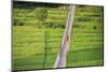 People crossing suspension bridge over Trishuli River, Tupche, Nuwakot District, Province 3, Nepal-Keren Su-Mounted Photographic Print