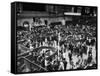 People Crowding the Stock Exchange Building-Charles E^ Steinheimer-Framed Stretched Canvas