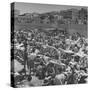 People Crowding the Tel Aviv Beach on a Saturday Morning-null-Stretched Canvas