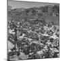 People Crowding the Tel Aviv Beach on a Saturday Morning-null-Mounted Photographic Print