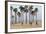 People Cycling the South Bay Cycle Route in the Town of Santa Monica Near Los Angeles-null-Framed Photographic Print