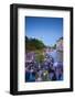 People Dancing by the Spee River, Berlin, Germany-Jon Arnold-Framed Photographic Print