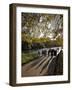 People Enjoy an Autumn Walk in St James's Park in Autumn-Julian Love-Framed Photographic Print