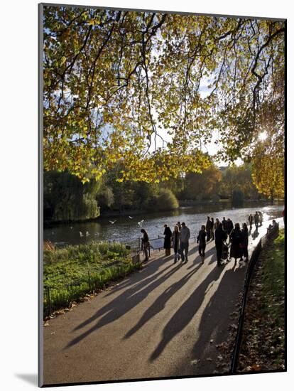 People Enjoy an Autumn Walk in St James's Park in Autumn-Julian Love-Mounted Photographic Print