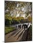 People Enjoy an Autumn Walk in St James's Park in Autumn-Julian Love-Mounted Photographic Print