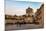 People Enjoying Passeggiata in Piazza Duomo on the Tiny Island of Ortygia-Martin Child-Mounted Photographic Print