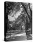 People Enjoying Sunny Day at Park on Ocean Parkway-Ed Clark-Stretched Canvas