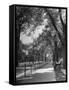 People Enjoying Sunny Day at Park on Ocean Parkway-Ed Clark-Framed Stretched Canvas