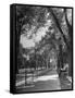 People Enjoying Sunny Day at Park on Ocean Parkway-Ed Clark-Framed Stretched Canvas