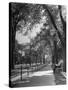 People Enjoying Sunny Day at Park on Ocean Parkway-Ed Clark-Stretched Canvas