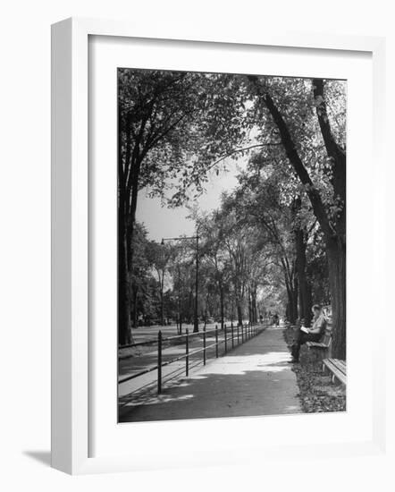 People Enjoying Sunny Day at Park on Ocean Parkway-Ed Clark-Framed Photographic Print