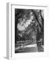 People Enjoying Sunny Day at Park on Ocean Parkway-Ed Clark-Framed Photographic Print