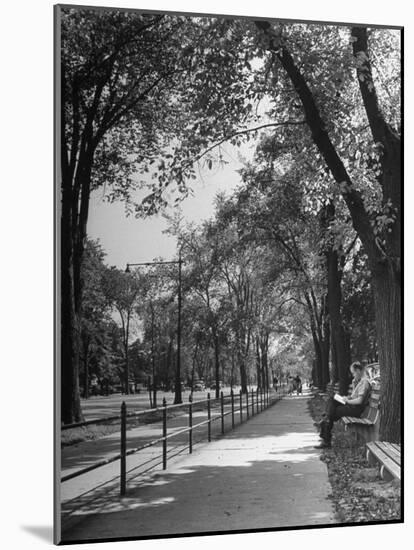 People Enjoying Sunny Day at Park on Ocean Parkway-Ed Clark-Mounted Photographic Print