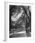 People Enjoying Sunny Day at Park on Ocean Parkway-Ed Clark-Framed Photographic Print