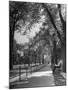 People Enjoying Sunny Day at Park on Ocean Parkway-Ed Clark-Mounted Photographic Print