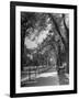 People Enjoying Sunny Day at Park on Ocean Parkway-Ed Clark-Framed Photographic Print