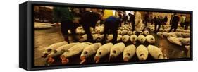 People Examining Tuna in a Fish Auction, Tsukiji Fish Market, Tsukiji, Tokyo Prefecture-null-Framed Stretched Canvas