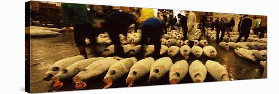 People Examining Tuna in a Fish Auction, Tsukiji Fish Market, Tsukiji, Tokyo Prefecture-null-Stretched Canvas