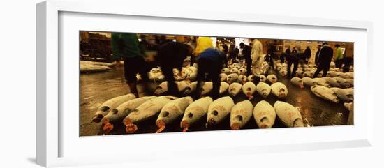 People Examining Tuna in a Fish Auction, Tsukiji Fish Market, Tsukiji, Tokyo Prefecture-null-Framed Photographic Print