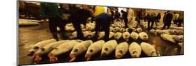 People Examining Tuna in a Fish Auction, Tsukiji Fish Market, Tsukiji, Tokyo Prefecture-null-Mounted Photographic Print