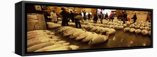 People Examining Tuna in a Fish Auction, Tsukiji Fish Market, Tsukiji, Tokyo Prefecture-null-Framed Stretched Canvas