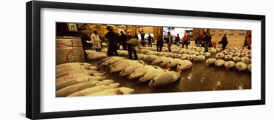 People Examining Tuna in a Fish Auction, Tsukiji Fish Market, Tsukiji, Tokyo Prefecture-null-Framed Photographic Print