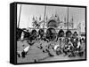 People Feed Pigeons at Saint Marks Square-null-Framed Stretched Canvas